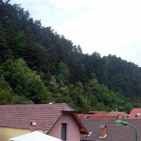 Casa Regal Villa Braşov Exteriör bild