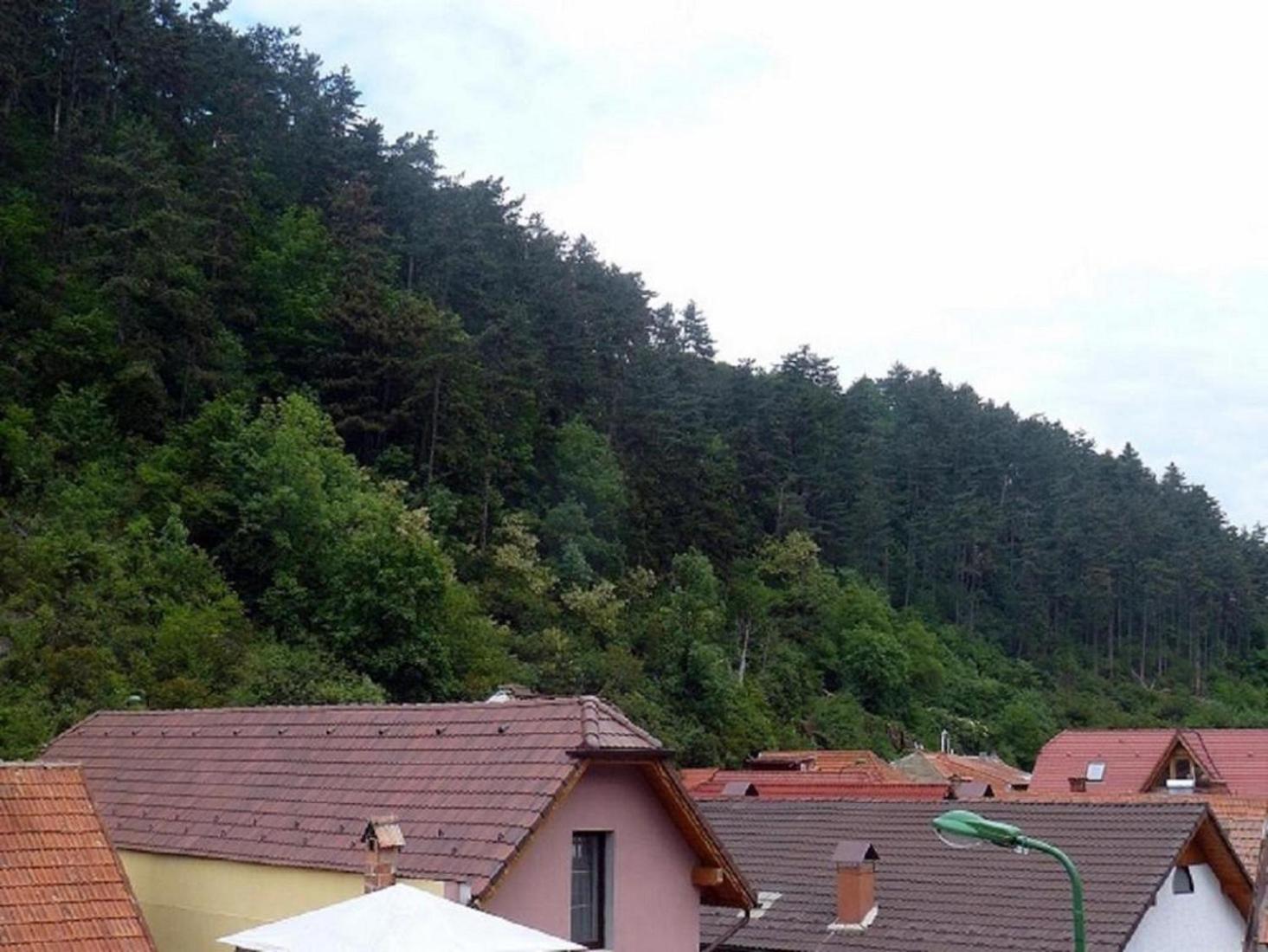 Casa Regal Villa Braşov Exteriör bild